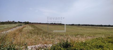 Land of 17000m2 with good communications and unobstructed views near Felanitx. It has a project for a detached house with a total of 254m2 built, 35m2 of swimming pool, 21m2 of garage and 65m2 of terraces, large living room with outdoor dining room, ...
