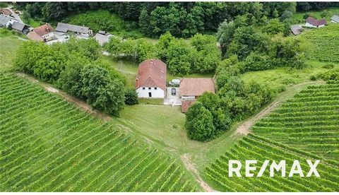 In Drči (gemeente Šentjernej) komen we tussenbeide bij de verkoop van een prachtig landgoed, dat zich uitstrekt tot 5 hectare landbouwgrond. Op het terrein is er een woongebouw, gebouwd in 1988 met een ruim bijgebouw. Het huis meet 531 m2 netto bruik...