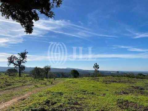 Property with a total area of 5.7 ha located in Santa Cruz, Santiago do Cacém, with unobstructed views for Atlantic Ocean and Santo André lagoon. The property is situated in a lush mountainous area abundant with water, thriving vegetation, and divers...