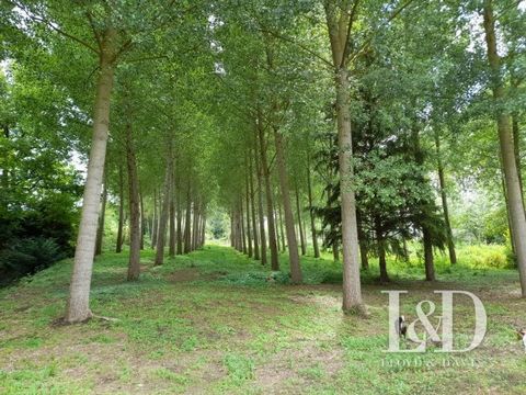 Oppervlakte : 9980 m² Locatie : Belle Vigne les Châteaux Droomt u van een hoekje van het paradijs waar de natuur hoogtij viert? Ontdek dit prachtige plezierperceel van 9980 m² gelegen in Belle Vigne les Châteaux. Ideaal gelegen in een betoverende omg...