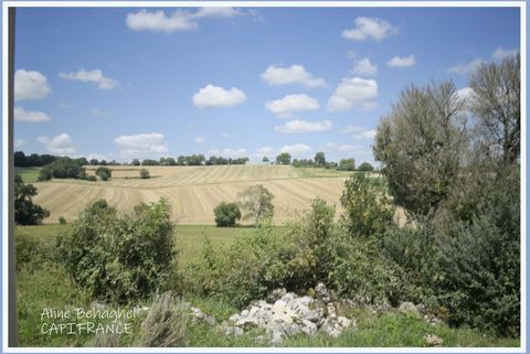 photo no. 2