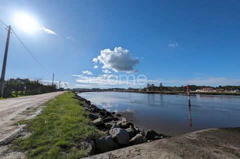 ID de la propriété : ZMPT563020 Terrain rustique dans la région de Barquinha, à côté de la Ria de Aveiro, avec 2964m2 de terrain, idéal pour l’investissement ou la construction non définitive. La région de Barquinha, située dans la Ria de Aveiro, à Í...