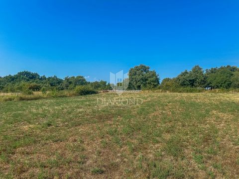 Location: Istarska županija, Barban, Orihi. Orihi, Barban area - Istria In the area of Barban, in the quiet town of Orihi, land is for sale with a submitted application for a building permit for a house with 4 bedrooms. The land is parceled and squar...