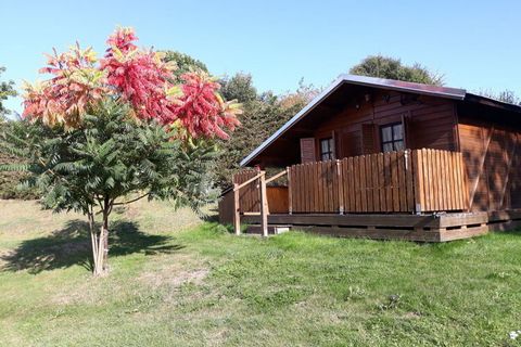 Our holiday apartment is in a quiet location in the countryside, which ensures rest and relaxation. There is a pool, a grill and loungers.