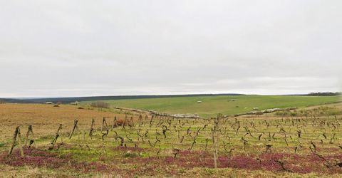 Zeer zeldzame kans voor grote investeerders en boeren! We zijn verheugd om een unieke kans te bieden om uitgestrekte landbouwgrond te bezitten in de prachtige provincie Timiș, Roemenië. Dit eersteklas pand is perfect voor zowel grootschalige landbouw...