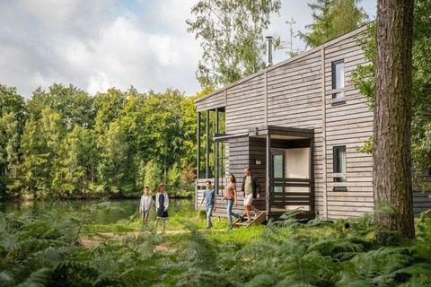 Odkryj wielokrotnie nagradzany urok parku Your Nature, wyróżnionego tytułem „Leisure Award Winning Park”! Dzięki wyjątkowym udogodnieniom i zrównoważonemu projektowi jest to idealne miejsce na relaks i przygodę w zapierającym dech w piersiach otoczen...