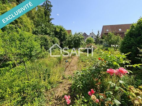 Propriété de caractère avec un très grand terrain arboré et ses dépendances