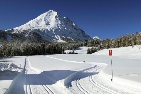 Geniet van een heerlijke vakantie in dit mooie appartement in Seefeld in Tirol. Het is voorzien van een aangename tuin en er zijn 6 fietsen beschikbaar die je kunt gebruiken om de mooie omgeving te verkennen. Met 1 slaapkamer en een slaapbank in de w...