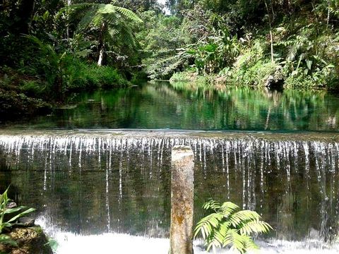 Excellent Plot of land for sale in Port Vila Vanuatu Esales Property ID: es5554000 Property Location PO BOX 5195, KLEMSHILL AREA PORT VILA SHEFA PROVINCE 0000 Vanuatu Property Details TEVAITO’A SPRING WATER Investment in Vanuatu 'Income Tax Free Coun...