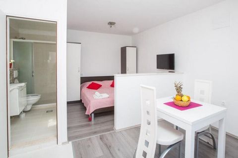 Apartments Villa Roza are located in Rožat, quiet little place in Dubrovnik suburbs. It features four accommodation units and all of them will provide you with everything you may need for perfect, relaxing stay. All guests have access to common swimm...