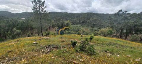 Terreno rústico, com 6 hectares, situado no sítio do Semedeiro, freguesia de São Bartolomeu de Messines, concelho de Silves. A poucos metros da Barragem do Funcho, em zona muito sossegada, e a cerca de 15 minutos do centro da vila de São Bartolomeu d...