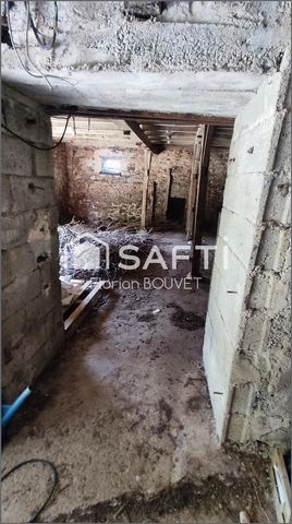 photo no. 11
