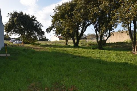 photo no. 2