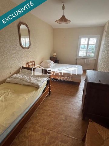 photo no. 12