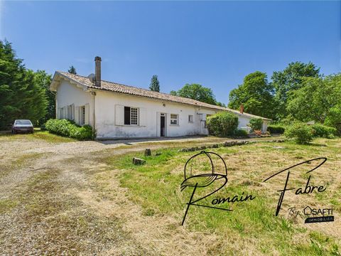 photo no. 16