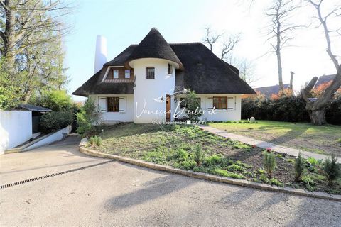 photo no. 15