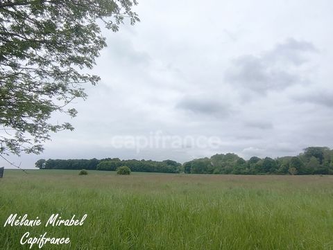 Terrain à vendre - 2 345 m² - COURDEMANCHE (27)