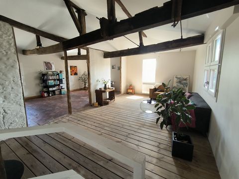 photo no. 20