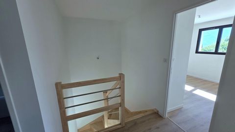 photo no. 10