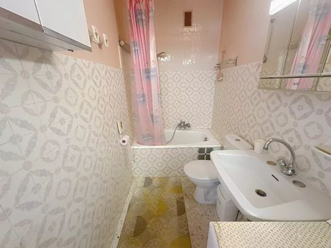 photo no. 12