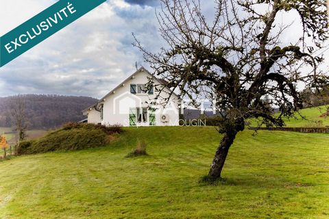 Investissez dans un Viager Occupé à Sancey – Opportunité Rare !