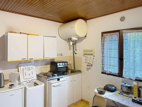 photo no. 7
