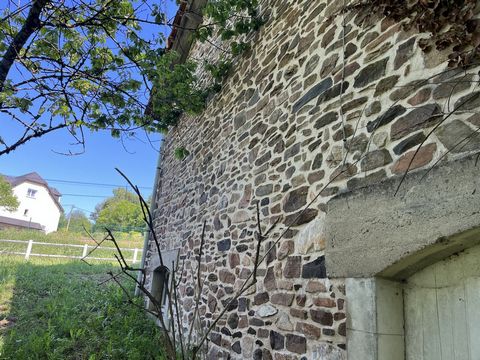 photo no. 10