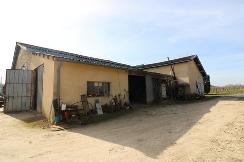 photo no. 13