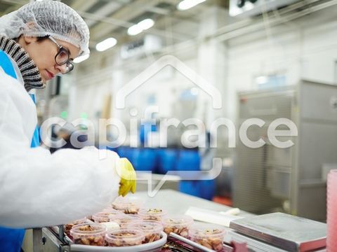 Proche de LILLE (59) - Cuisine centrale/Traiteur - Capacité 600 couverts/jour