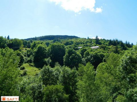 photo no. 3