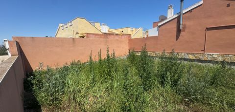 Parcela urbana con permiso de construcción en Daya Nueva – 160m² con potencial de desarrollo Descubra esta parcela urbana de 160 m² en una ubicación privilegiada en el encantador pueblo de Daya Nueva , en el corazón de la Vega Baja de Alicante. Esta ...