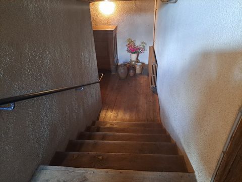 photo no. 11