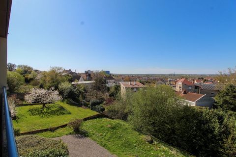 photo no. 5