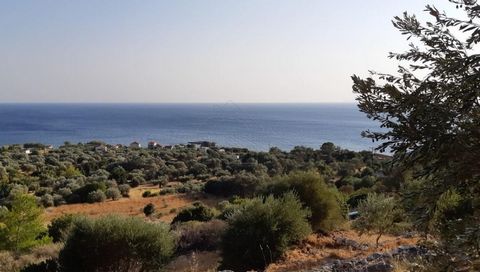Te koop een lpot grond van 4.500 sq.m. op samos eiland. Het land is bebouwbaar, gelegen binnen stedenbouwkundig plan, 200 m. van de zee met mooi uitzicht op zee. Op het perceel groeien 60 olijfbomen. Prijs 55.000 euro.