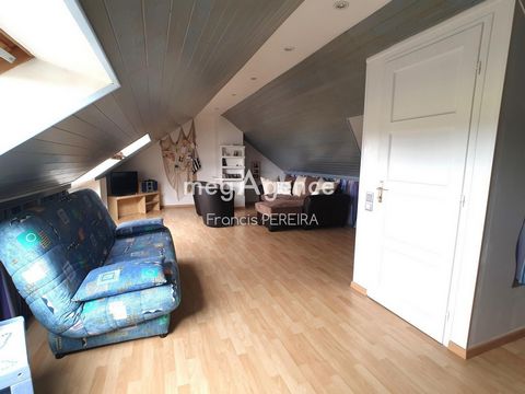 photo no. 11