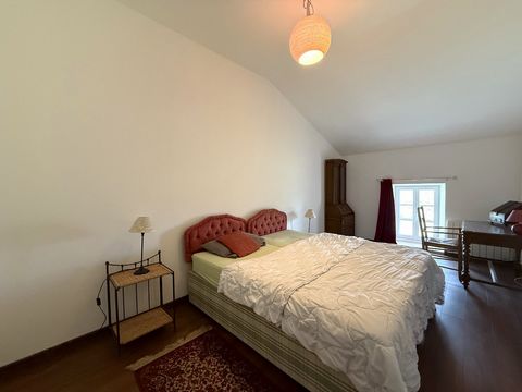 photo no. 18