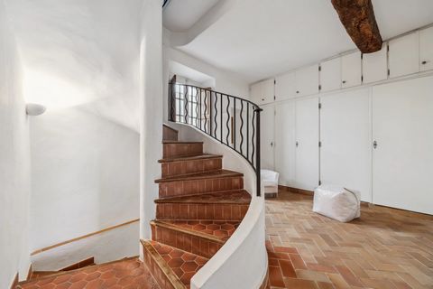 photo no. 11