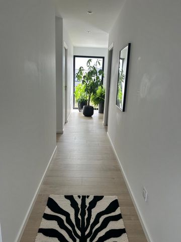 photo no. 11