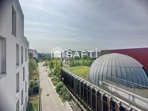 photo no. 6