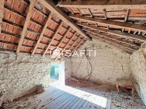 photo no. 10