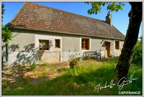 Maison à vendre 3 pièces Touchay (18)