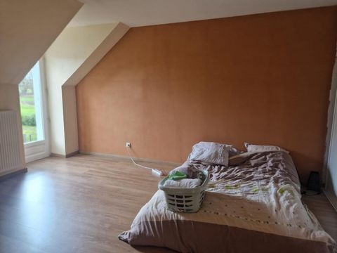photo no. 9