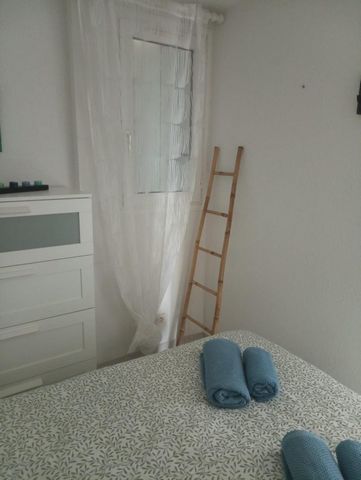 photo no. 10