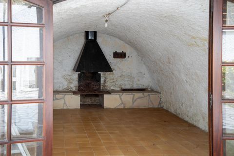 photo no. 10