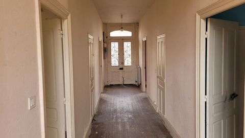 photo no. 8