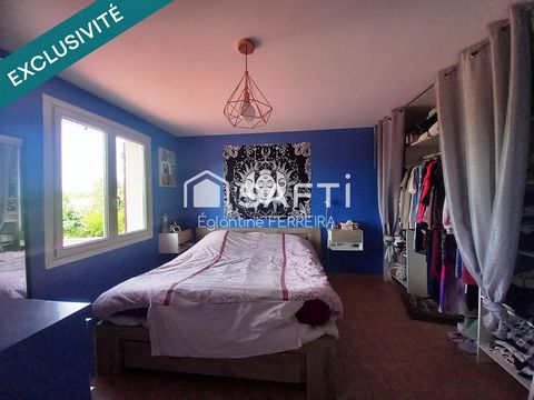 photo no. 13