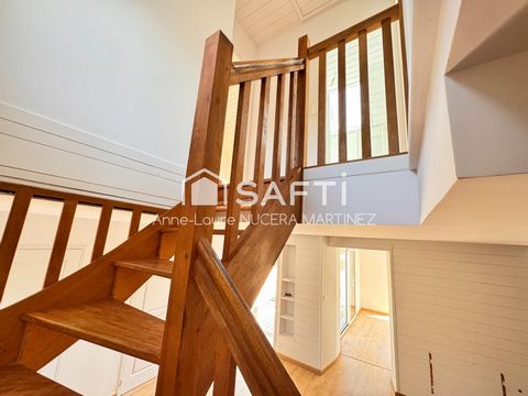 photo no. 9