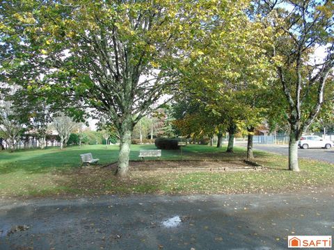 photo no. 12