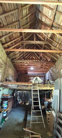 photo no. 14