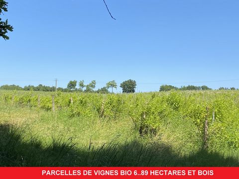 Parcelles de vignes bio et terrain bois&#233; 6.89 hectares dans le Gers, secteur Bas Armagnac